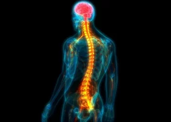 Regeneration of Damaged Nerves After Spinal Trauma 777x437 1 دراسة: دواء السرطان يعزز تجديد الأعصاب التالفة بعد إصابة الحبل الشوكي