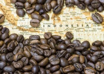 القهوة الإندونيسية