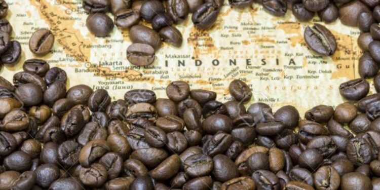 القهوة الإندونيسية