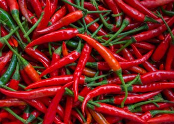 150804122715 chili peppers أطعمة لا تتخيلها تحتوي على نسب عالية من فيتامين سي.. تعرف عليها