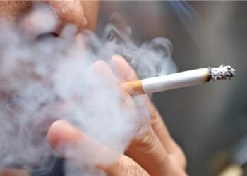 أسعار السجائر اليوم بعد زيادة إنتاج الشرقية للدخان 40% 