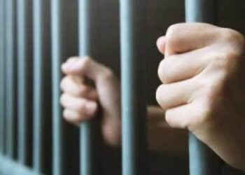 533486 السجن 6 سنوات لـ تاجر حشيش بسوهاج