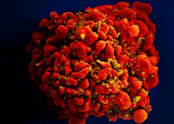 HIV Immune Cell فيروس نقص المناعة البشرية يسرع من الشيخوخة بمقدار 5 سنوات