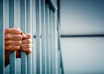 IMG 20220811 WA0085 حبس 24 متهما ضبط بحوزتهما مخدرات خلال حملة أمنية بالقليوبية