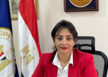 غادة شلبي، نائب وزير السياحة والآثار