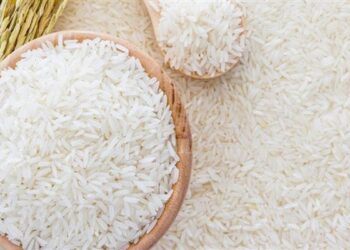13 جنيها للكيلو .. زلزال يضرب أسعار الأرز بعد انخفاضه عالميا