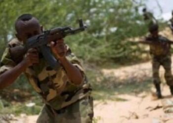6199d1b1a11ae الجيش الصومالي يعتقل مسؤول المتفجرات في مليشيات الشباب 