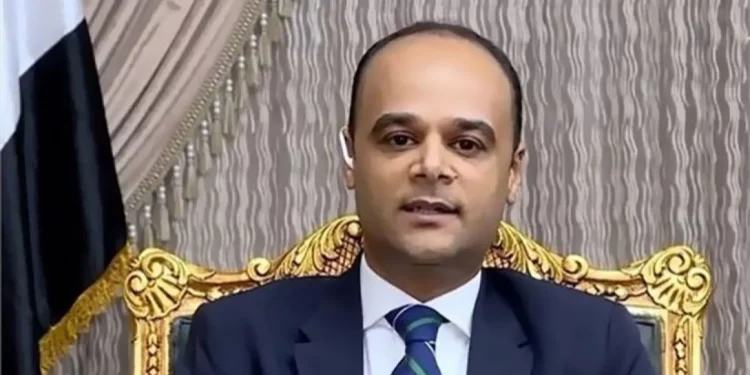 السفير نادر سعد المتحدث باسم رئاسة الوزراء
