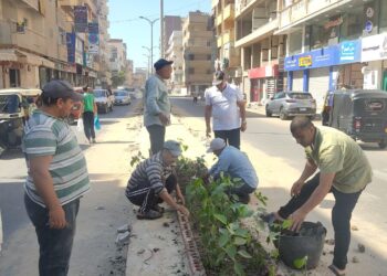 IMG 20220911 WA0015 2 زراعة 1200 شجرة جوافة وزيتون بمركز أبو حمص بالبحيرة