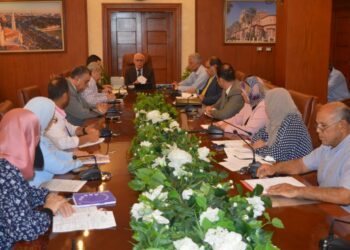 لقاء محافظ بورسعيد مع مساعد رئيس مجلس الوزراء
