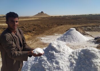 IMG ٢٠٢٢٠٩١٤ ١٤٥٦٢٥ الأيام مع عمال الكنز الأبيض في صحراء مصر الغربية