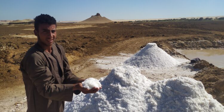 IMG ٢٠٢٢٠٩١٤ ١٤٥٦٢٥ الأيام مع عمال الكنز الأبيض في صحراء مصر الغربية