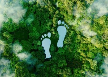 travel carbon footprint 1 طرق بسيطة لجعل رحلتك القادمة أكثر صداقة للبيئة