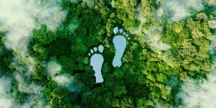 travel carbon footprint 1 طرق بسيطة لجعل رحلتك القادمة أكثر صداقة للبيئة