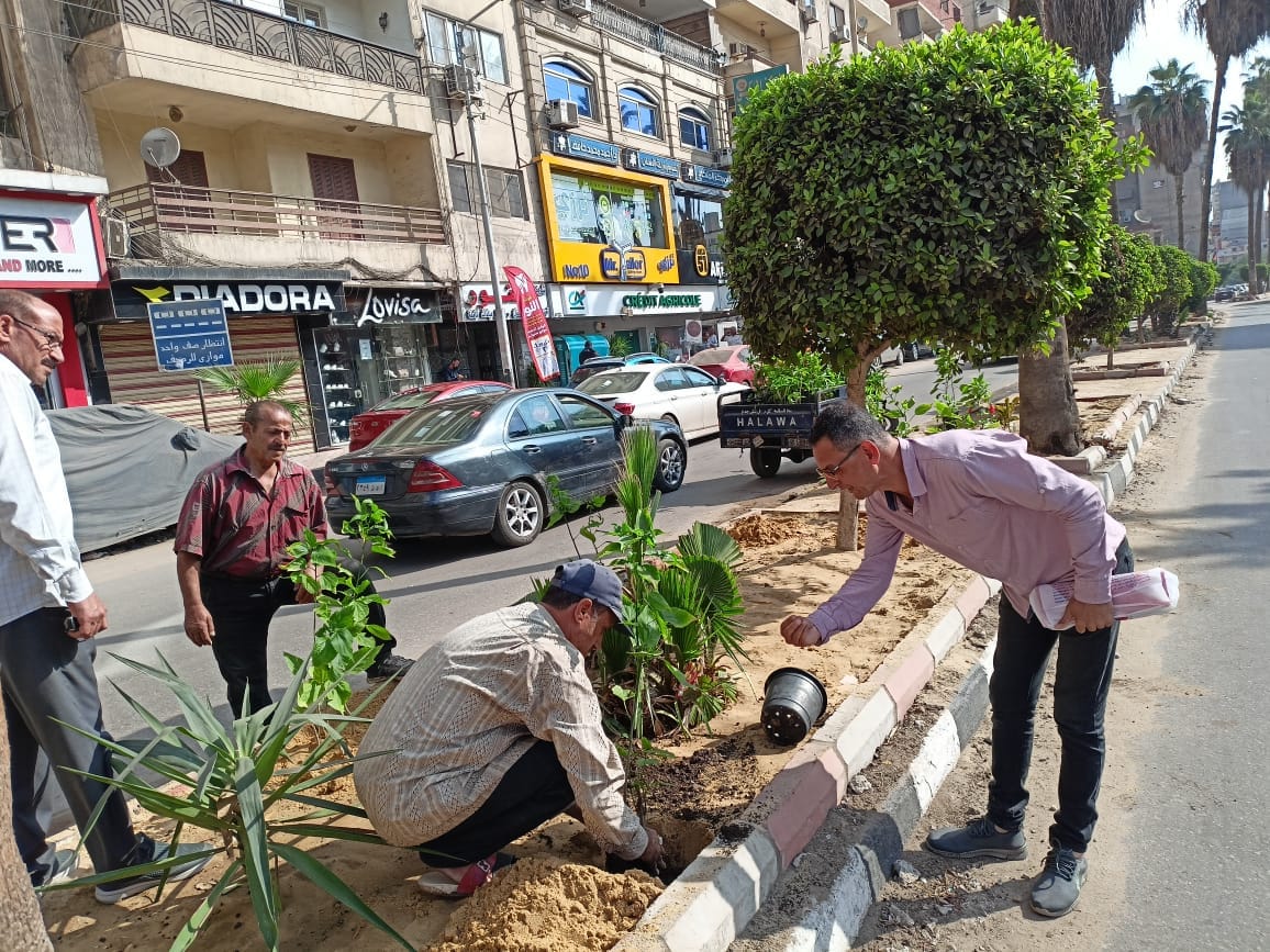 حي غرب المنصورة: حملات نظافة ورفع قمامة وزيادة المسطحات الخضراء