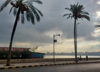 IMG 20221011 WA0005 أمطار خفيفة على الإسكندرية