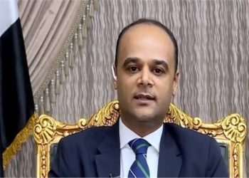 السفير نادر سعد السيارات المعفاة من الجمارك ..3  أسباب تحرم المصريين بالخارج من استيرادها
