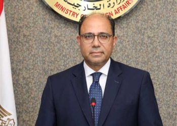 السفير أحمد أبو زيد، المتحدث باسم الخارجية المصرية