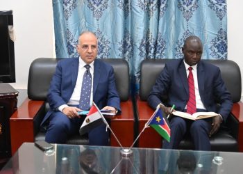الري وزير الري: مصر حريصة على تعزيز التعاون الاقتصادي مع جنوب السودان 
