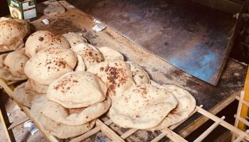 رغيف العيش وزنه 90 جرامًا التموين: إلتزام المخابز السياحي والافرنجي بإنتاج الخبز بالأسعار المعلنة