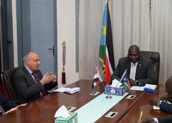 سويلم وزير الري: عمق العلاقات المصرية الجنوب سودانية يدفعنا لمزيد من التعاون  والاستثمار 