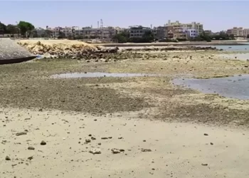 مياه البحوث الفلكية: انحسار مياه الشواطئ ليس له علاقة بزلزال تركيا