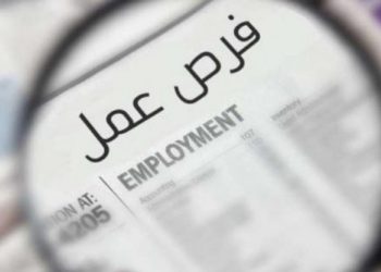 مبادرة رواد مصر الرقمية
