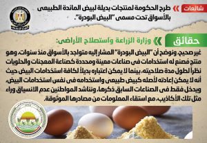 331415101 548187967378441 6364177014492807920 n الحكومة تحسم الجدل بشأن طرح «البيض البودرة» بديلا عن بيض المائدة