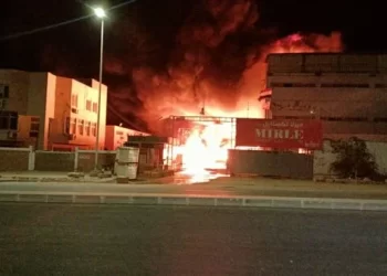 حريق مصنع العبور نفوق 8 آلاف كتكوت في احتراق مزرعة بكفر الشيخ