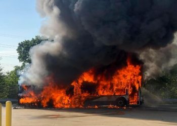 1 9 ضبط سائق تنكر في زي نسائي وأشعل النار في أتوبيسات مدرسة بالقاهرة