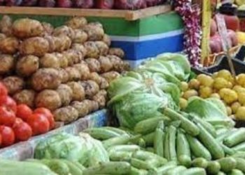 أسعار الخضروات في أسواق محافظة الجيزة اليوم