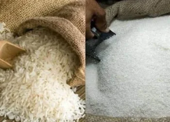 262 أسعار الأرز والسكر.. وزير التموين يزف بشرى سارة للمواطنين| فيديو