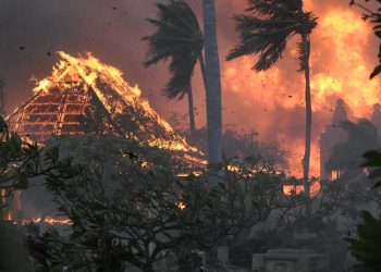 AP23222056688533 الأكثر فتكا في تاريخ أمريكا..عشرات القتلي في حرائق الغابات بجزر هاواي