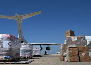 1 1657919 وصول 3 طائرات مساعدات من الإمارات والكويت وتركيا لدعم غزة