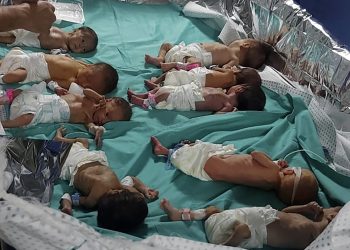 414942 1 طبيب بمستشفي الشفاء في غزة: الإحتلال أحرق حضانات الأطفال