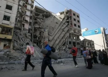 48 2 رسالة حزينة من الأزهر بعد مجزرة مدرسة الفاخورة : فشلنا في نصرتك يا غزة