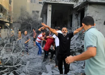 كم عدد شهداء غزة اليوم