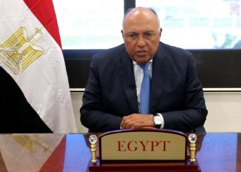 شكريي وزير الخارجية: مصر قدمت "5400 طن" مساعدات لغزة