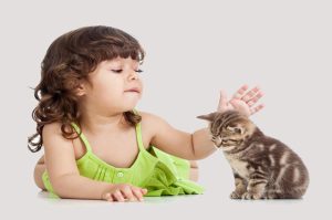 خطورة تربية القطط دراسة أسترالية تحذر: تربية قطة في المنزل تسبب الأمراض النفسية