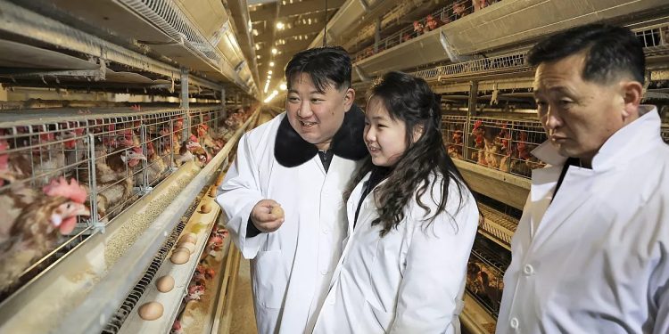 image 6 زعيم كوريا الشمالية مع ابنته في مزرعة دواجن لتشجيع زيادة إنتاج البيض