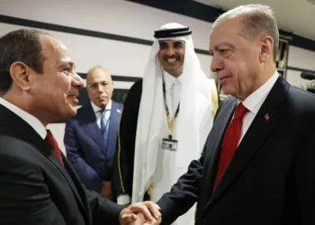 1 1573332 أردوغان والسيسي يجتمعان لبحث التعاون بين البلدين