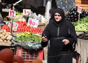 هل اقتصاد مصر يتحسن 2024