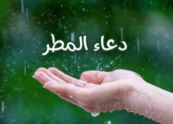 مممممم دعاء المطر.. أفضل 10 أدعية مستجابة من القرآن والسنة لسعة الرزق والبركة