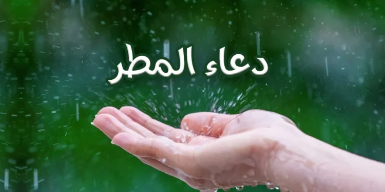 مممممم دعاء المطر.. أفضل 10 أدعية مستجابة من القرآن والسنة لسعة الرزق والبركة
