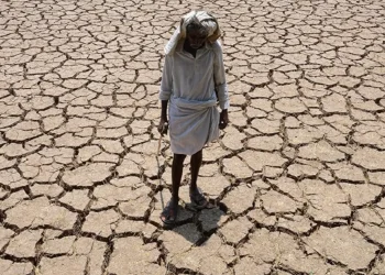 الجفاف فى زيمبابوى