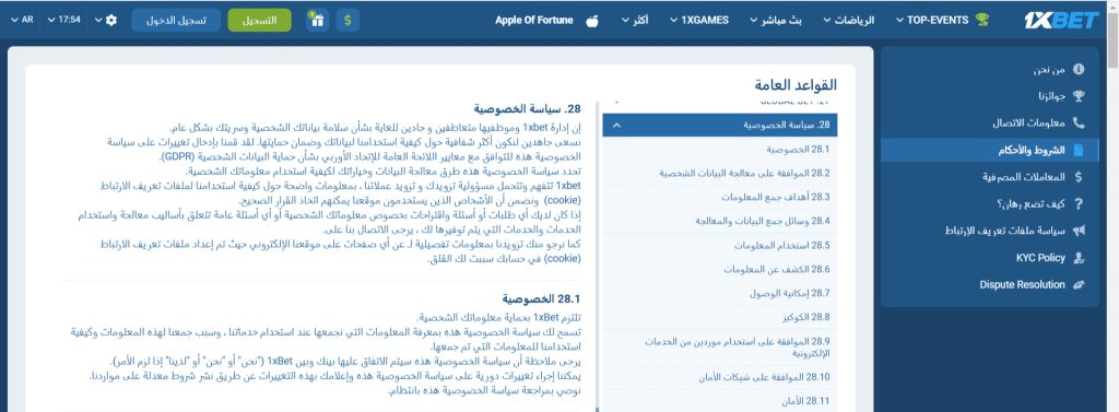 سياسة حماية البيانات
