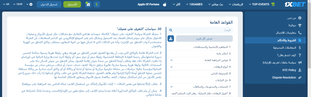 سياسة اللعب المسؤول